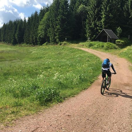 Zur Bergwiese 5 Sterne Appartementhaus Furstenau  Luaran gambar