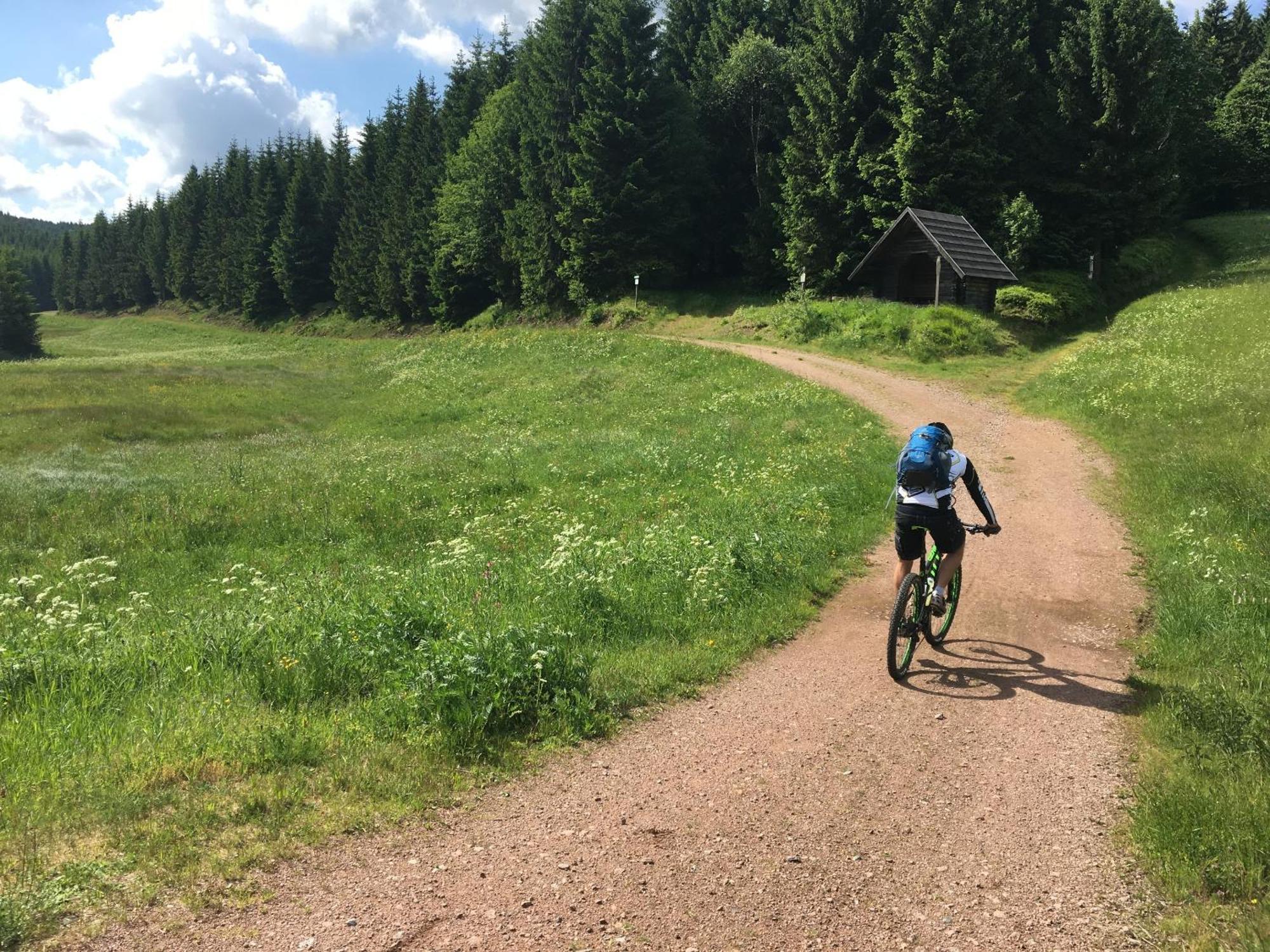 Zur Bergwiese 5 Sterne Appartementhaus Furstenau  Luaran gambar